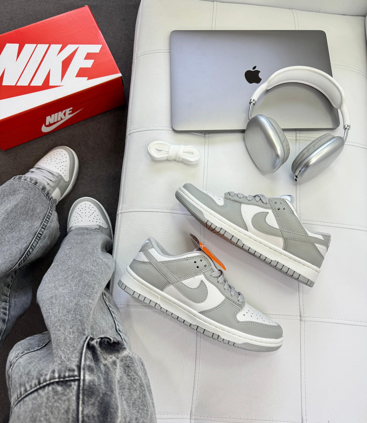 Dunk Low Pro Cinza