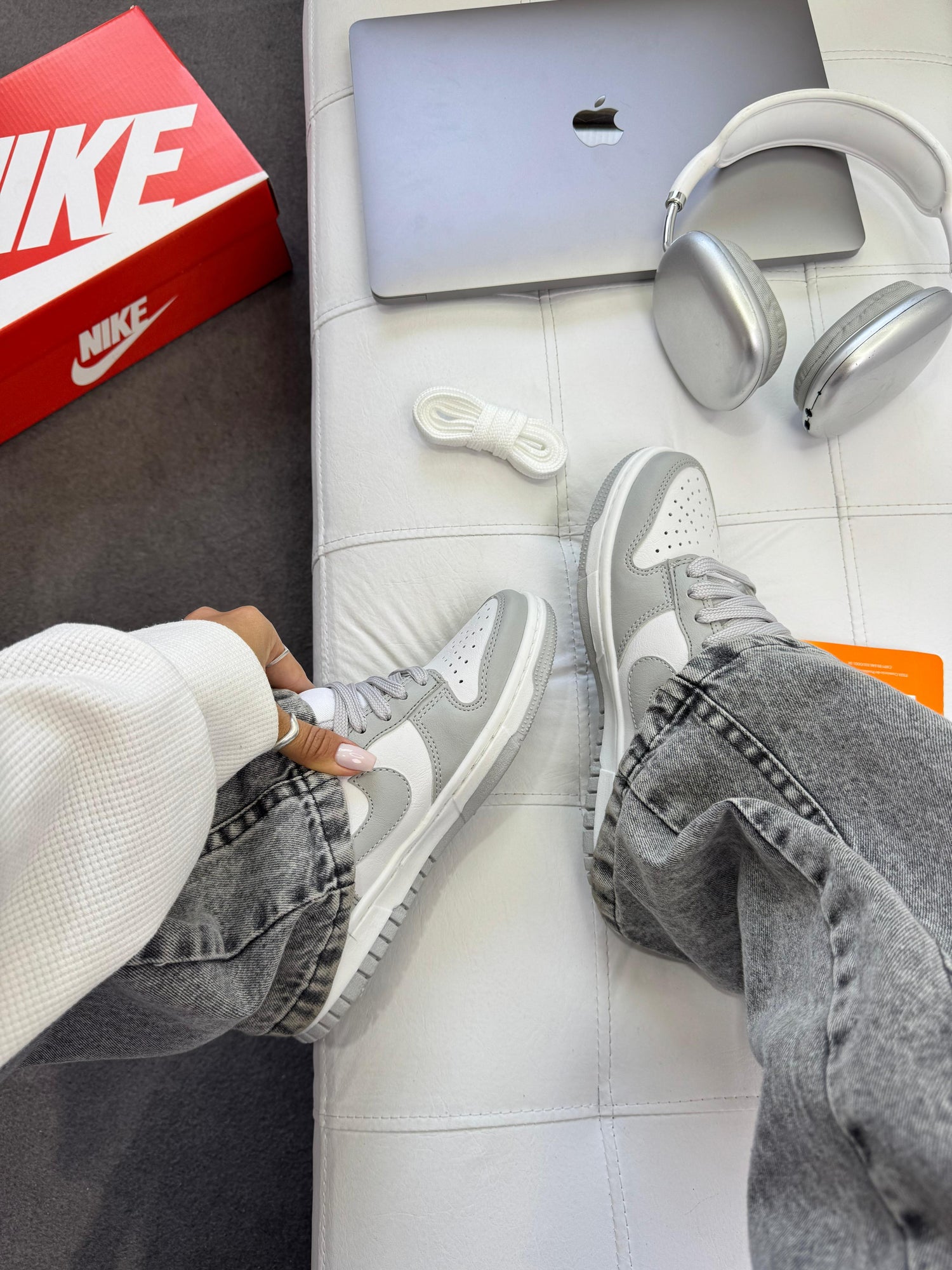 Dunk Low Pro Cinza